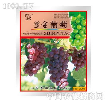 ����-�Ͻ�����