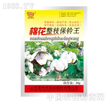 ����-�޻���֦���?f��)? width=