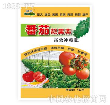 ����-�����n����