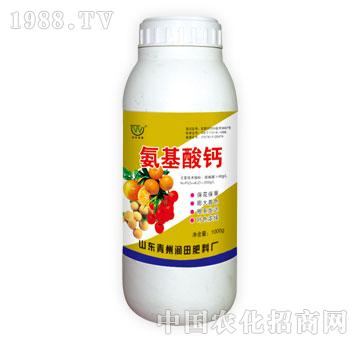 ����-�������}