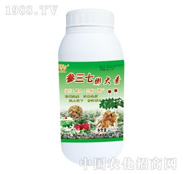 ����-�����������