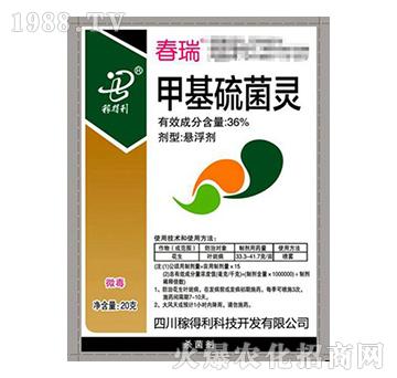 36%�׻�����`-����-�ڵ���