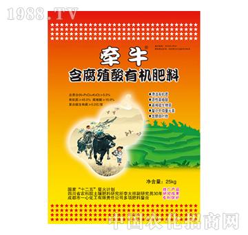 ����ֳ���ЙC����-��ţ-һ�Ļ���