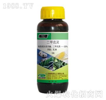 33%�������`-ʩ���z-�G��