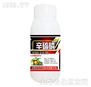 40%����������-�읙����