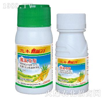 30%�����������-���{(l��n)��-��������