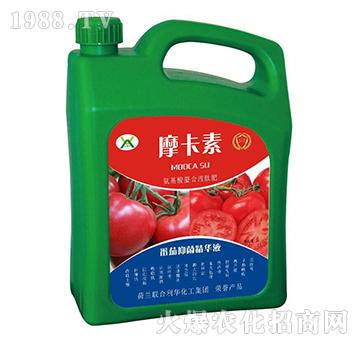 �����־����AҺ-Ħ����-��(qi��ng)о���H