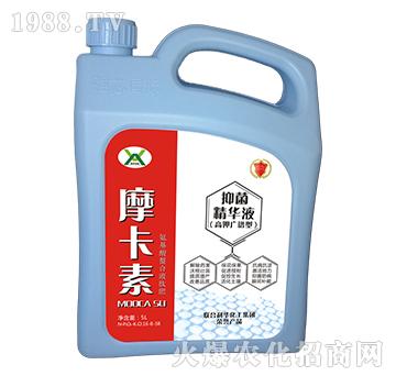 ����־����AҺ���V�V�ͣ�-Ħ����-��(qi��ng)о���H