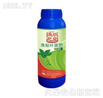 �O�ďV�V�~���-�Z����