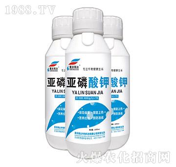 ������⛣�ƿ��-���r˹�_