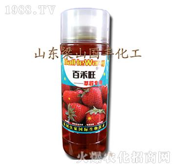 ��ݮ�����~���-��ɽ��(gu��)�S