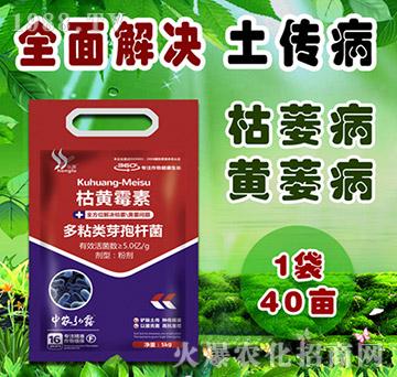 ��ճ�ѿ�ߗU��-���Sù��-���r(n��ng)��¶