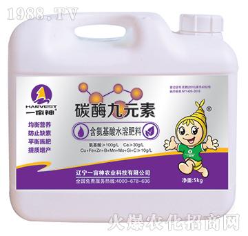 ̼ø��Ԫ��-һ����