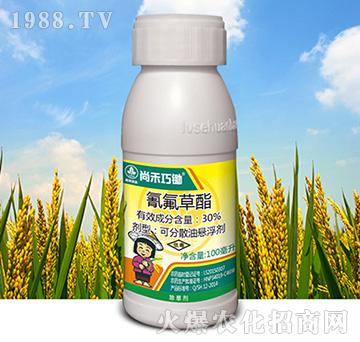 30%�������-�к����z-�к����_