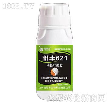 ̼���~���-���S621-�����S