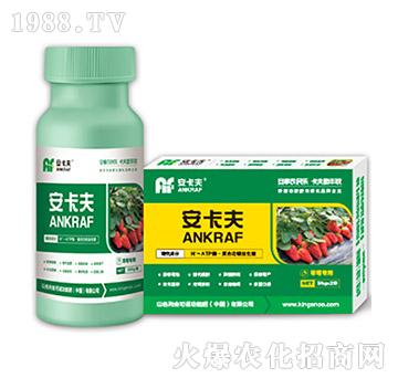 ��ݮ��(zhu��n)���~���-������