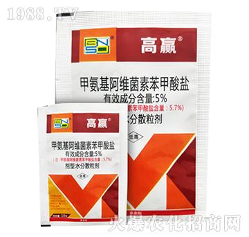 5%�װ������S���ر������}-���r(n��ng)˼�_