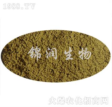 ����ù�P(p��n)����-�\��(r��n)����