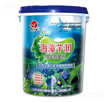 ΢�������-����ܷ��-����t