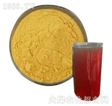 ������-��ʥ����