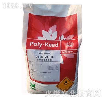 ˮ���ԏͺϷ���20-20-20+TE-���������S-����