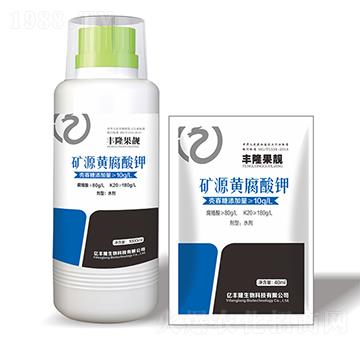 �VԴ�S�����-�S¡���n-�|�S¡