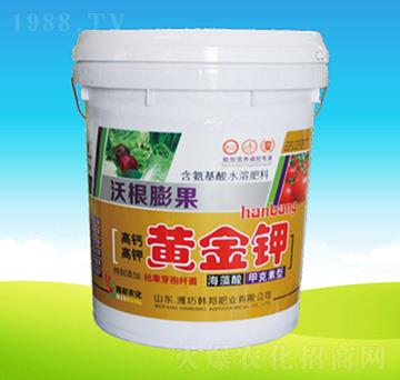 �S���-�n��ʘI(y��)