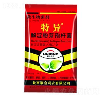 �����ѿ�ߗU��-�خ�-(li��n)�����r(n��ng)