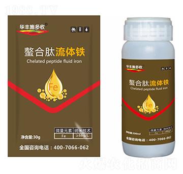 ���ϑB(t��i)���w�F-�滯���h