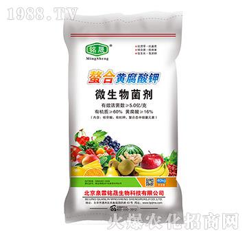 ΢�������-�����S�����-Ȫ�����