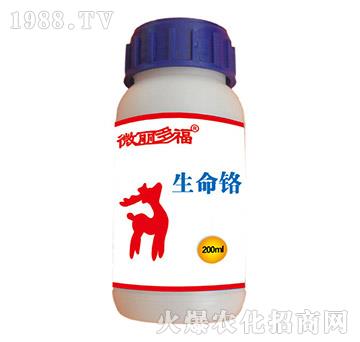 �����t-΢���ร