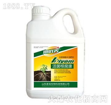 ���������-��������