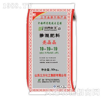 CS008���w⛓������19-19-19-��������