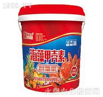 ����ך���-嫘���