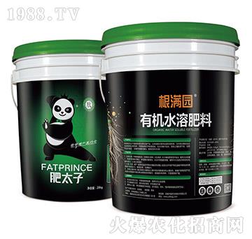 ���M(m��n)�@�ЙC(j��)ˮ�ܷ���-��̫��