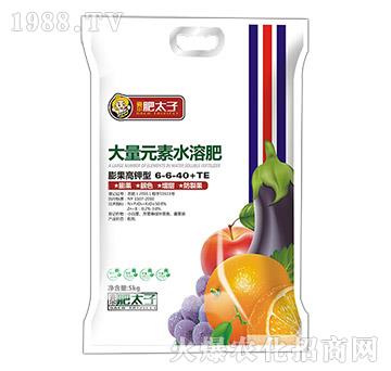 �������ʹ���Ԫ��ˮ�ܷ�6-6-40+TE-��̫��