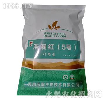 �~�G��-��嫼t��5̖��-�������