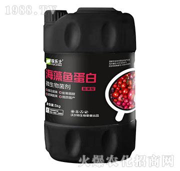 ����ͺ����~����-�ژ�ʿ