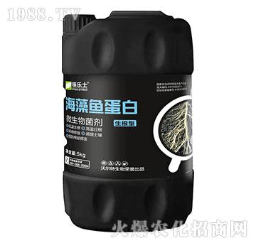 �����ͺ����~����-�ژ�ʿ