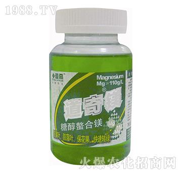 �Ǵ������V-�����V-����