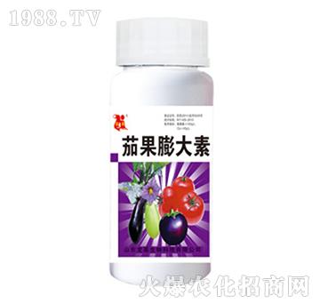 �ѹ������-��������