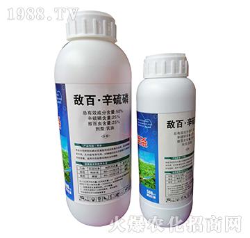 50%���١�������-�W�ρ�