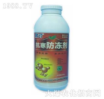 ����������-(li��n)��(d��ng)-� �����