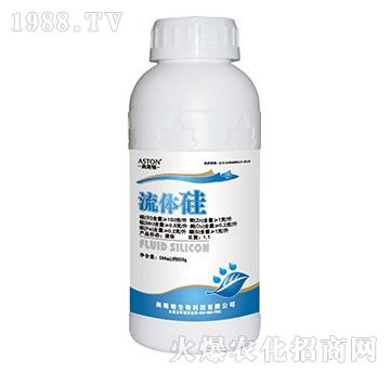 Һ�w��-�W˹�D