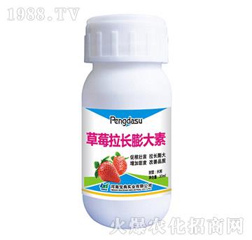 ��ݮ���L�����-���䌍�I(y��)