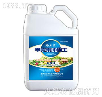 �ך��؛_ʩ��-������-�ŵ�