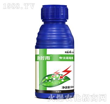 ˪ù�����Ú�����-���r(sh��)��-�к���(r��n)��