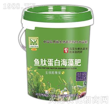 �~�ĵ��׺����-����