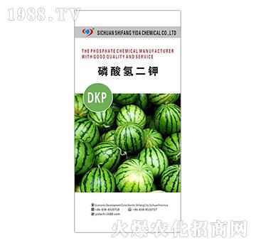 �������-�����_