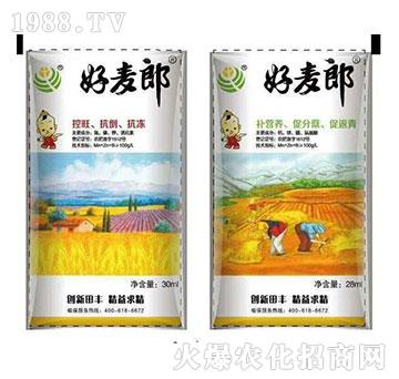 С����(zhu��n)���~���-������-���S����